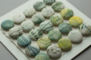 180 Clare Mahoney Patterns in Nature