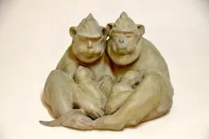 Young Melmoth - Monkey Family